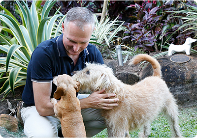 Cremation for Pets - Patting Dogs - Far North Queensland