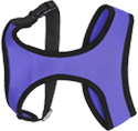 Cremation for Pets - Pet Harness - Far North Queensland