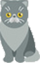 Cremation for Pets - Categories Icon - Far North Queensland