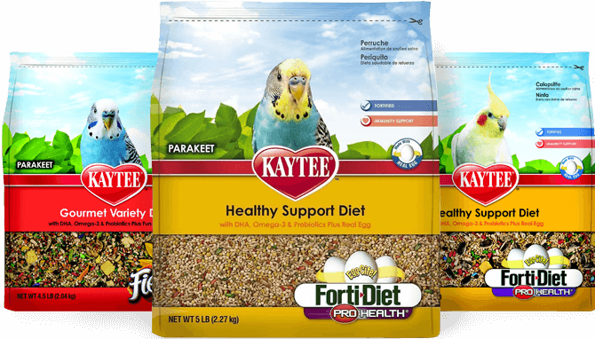 Cremation for Pets - Bird Food - Far North Queensland