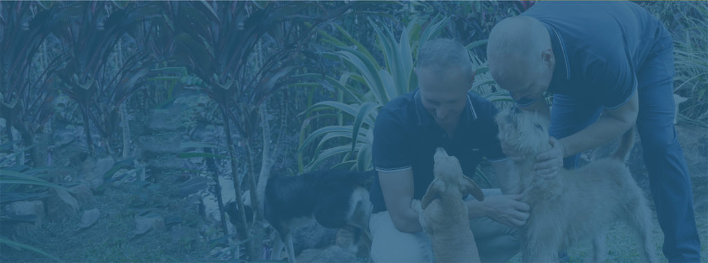 Cremation for Pets - Playing with Dogs - Far North Queensland