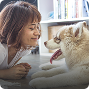 Cremation for Pets - Fluffy Puppy - Far North Queensland