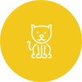 Cremation for Pets - Kitten - Far North Queensland