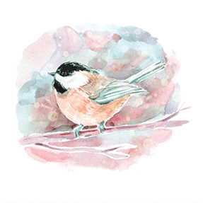 Cremation for Pets - Watercolour Bird Poster - Far North Queensland