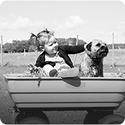 Cremation for Pets - Dog in Boat - Far North Queensland
