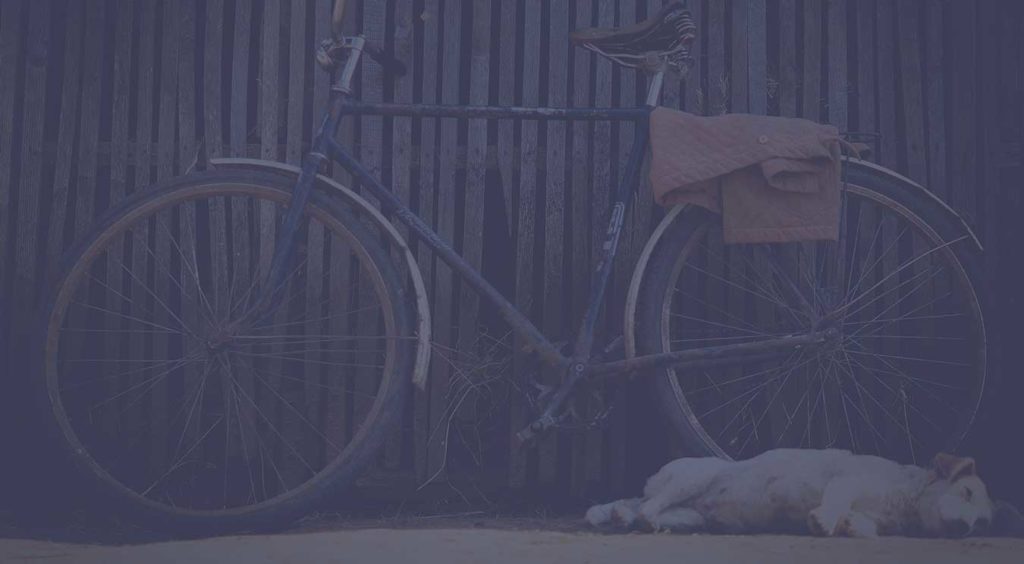Cremation for Pets - Dog Sleeping - Far North Queensland