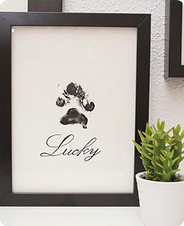 Cremation for Pets - Paw Print Poster - Far North Queensland
