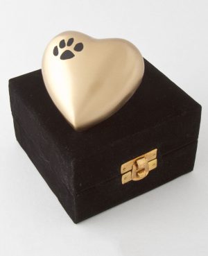 Cremation for Pets - Pet Urn - Far North Queensland