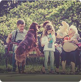 Cremation for Pets - Family Dog - Far North Queensland